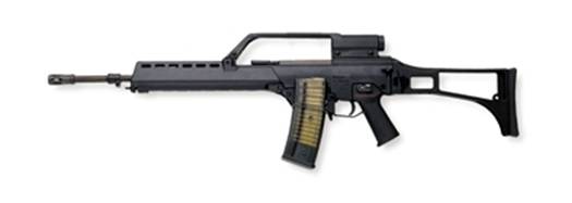 G36